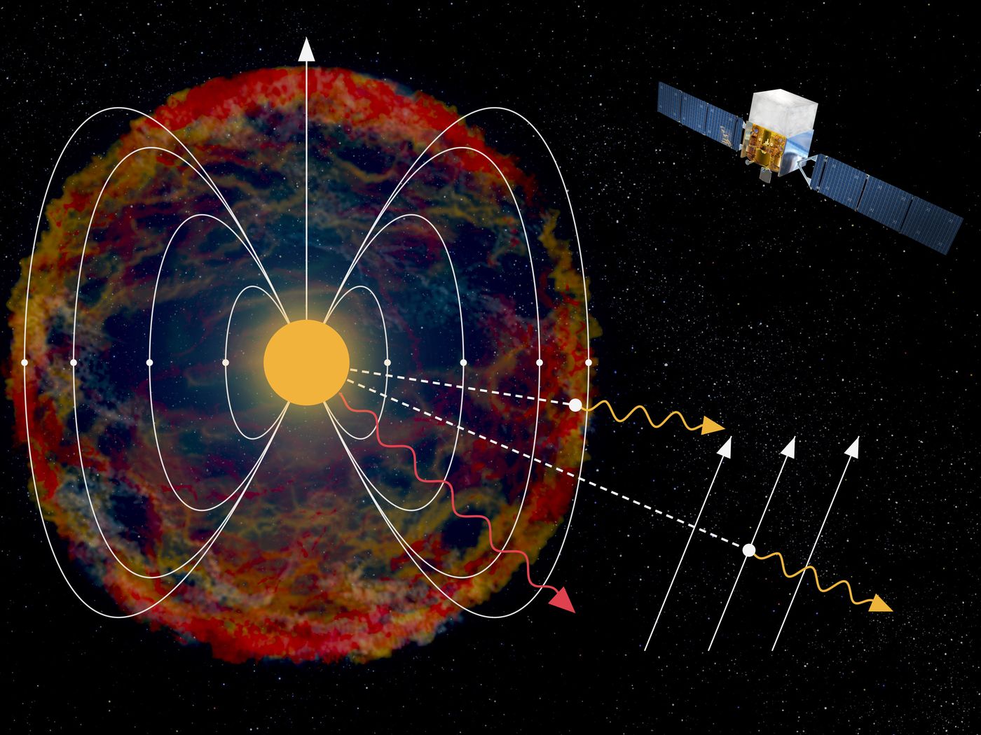 Illustration: the dipole magnetic field around a stripped-envelope supernova progenitor turns axions from its core into gamma rays heading to the Fermi satellite